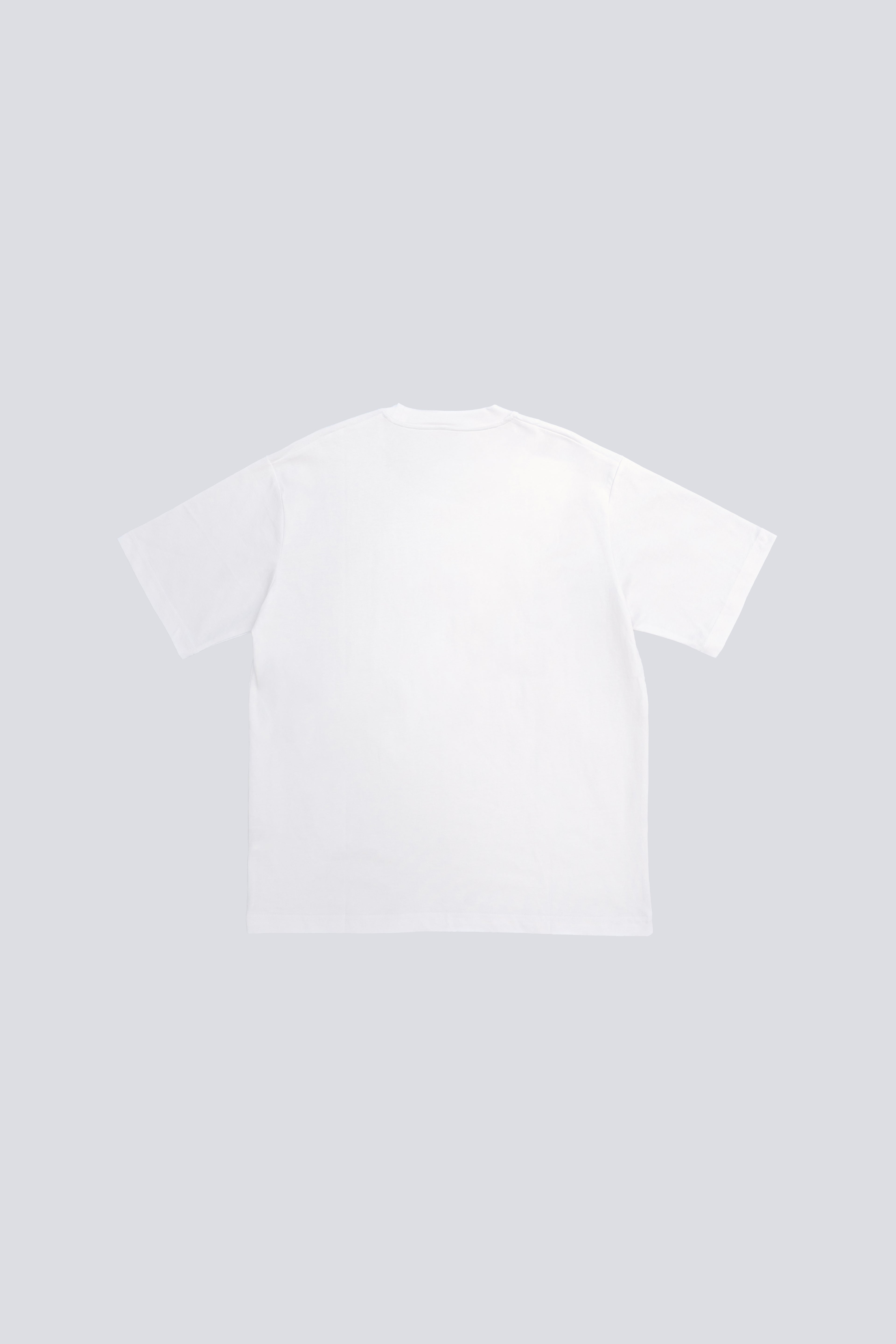 T-Shirt Basic Uomo Girocollo Regular White